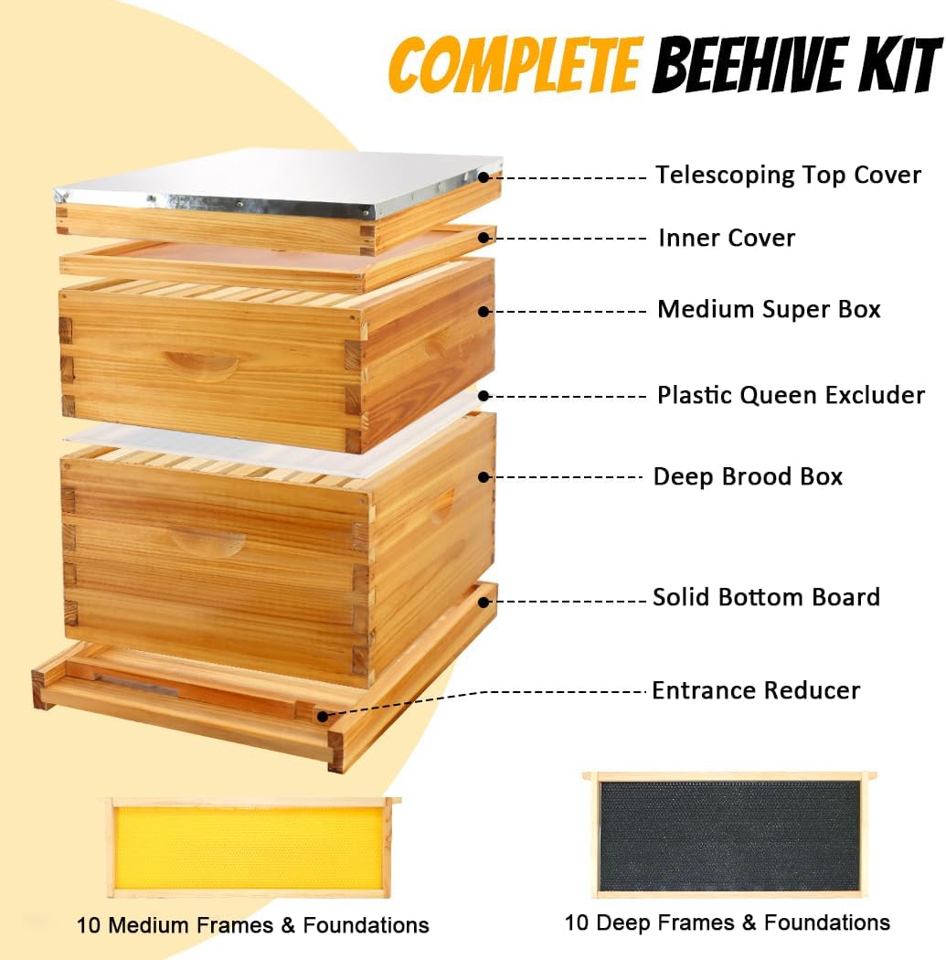Honey Lake 10-Frame Beehives Starter Kit – Complete Langstroth Hive with 1 Deep Brood Box & 1 Medium Super, Beeswax-Coated, Includes Beehive Frames & Waxed Foundation Sheets