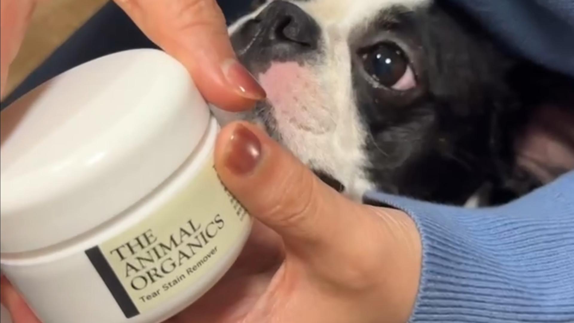 ゆのみすと TEAR STAIN CARE 2本セット THE ANIMAL ORGANICS 涙やけクリーナー 使い捨てシート 目元ケアシート