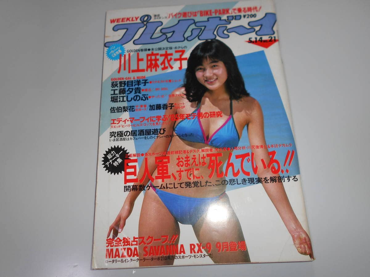 荻野目洋子　ヌード 