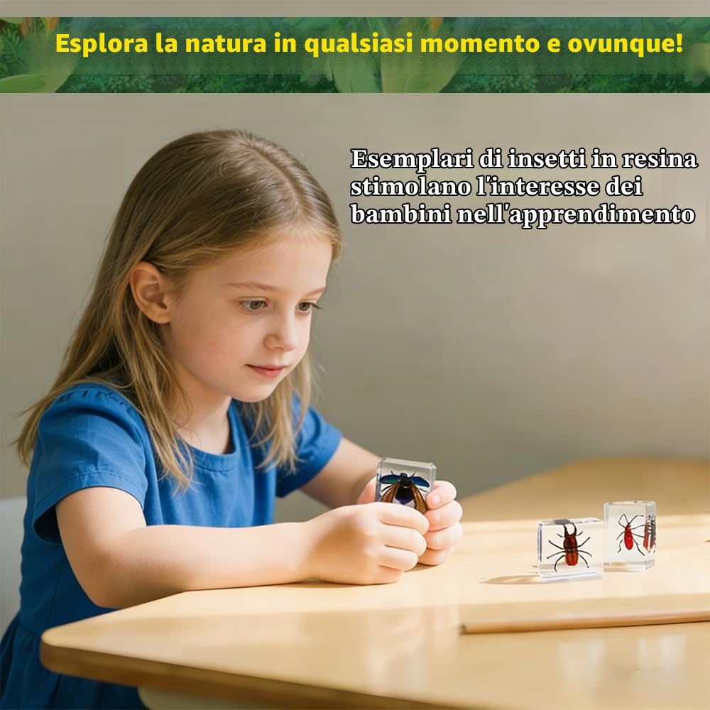 Collezione di Insetti in Resina, un gioco educativo di esemplari di insetti per bambini, perfetto per la scuola materna, le scienze in classe e le mostre domestiche (20 modelli di insetti)