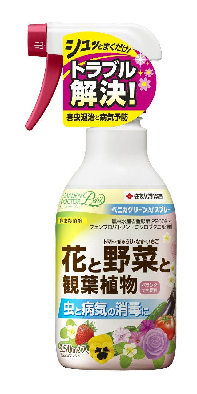 Amazon.co.jp: KINCHO園芸 ベニカグリーンVスプレー 250ml : DIY・工具