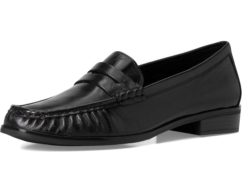 Vaneli Kelley - Front View