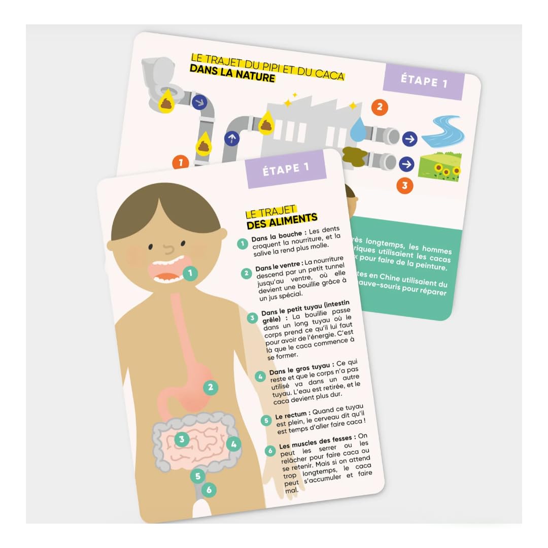 Ma Boîte Stop Couches – Méthode ludique d’acquisition de la propreté dès 2 ans – Kit éducatif en 4 étapes conçu par des spécialistes de l’incontinence infantile