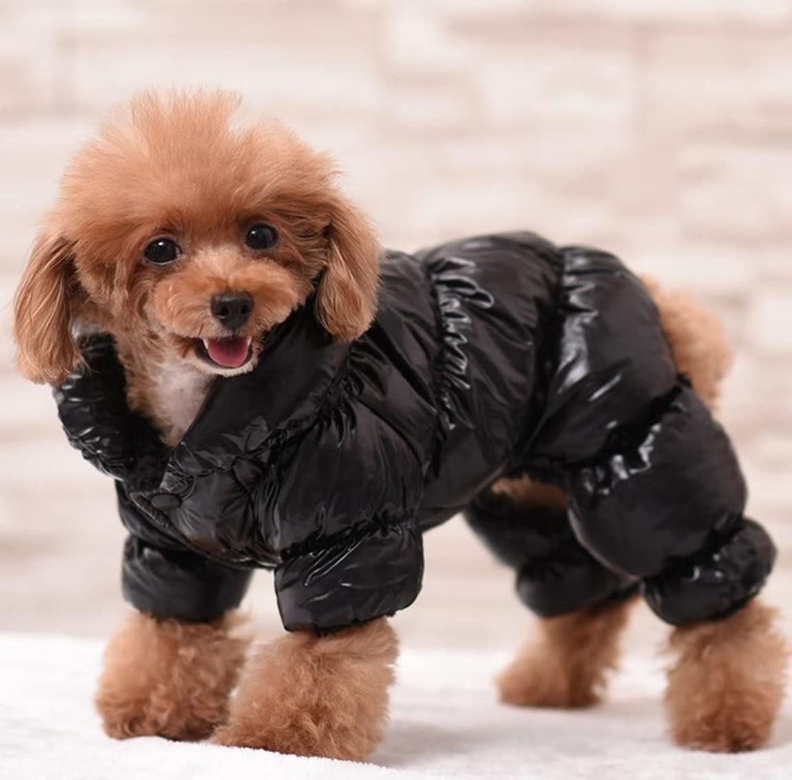 Manteau pour chien noir XS isolant pour les promenades sous la pluie