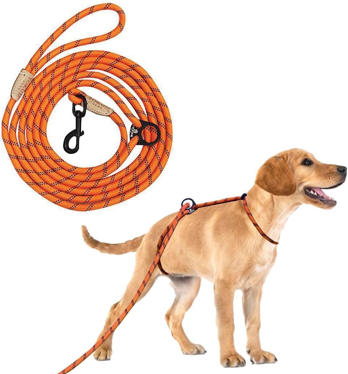 12ft no-pull dog leash with double-end hooks