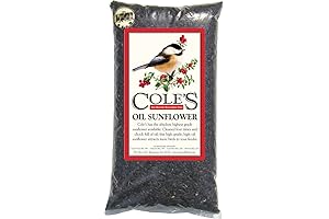 Cole's Essential Select 8 lb. Premium Black-Oil Sunflower Bird Seed