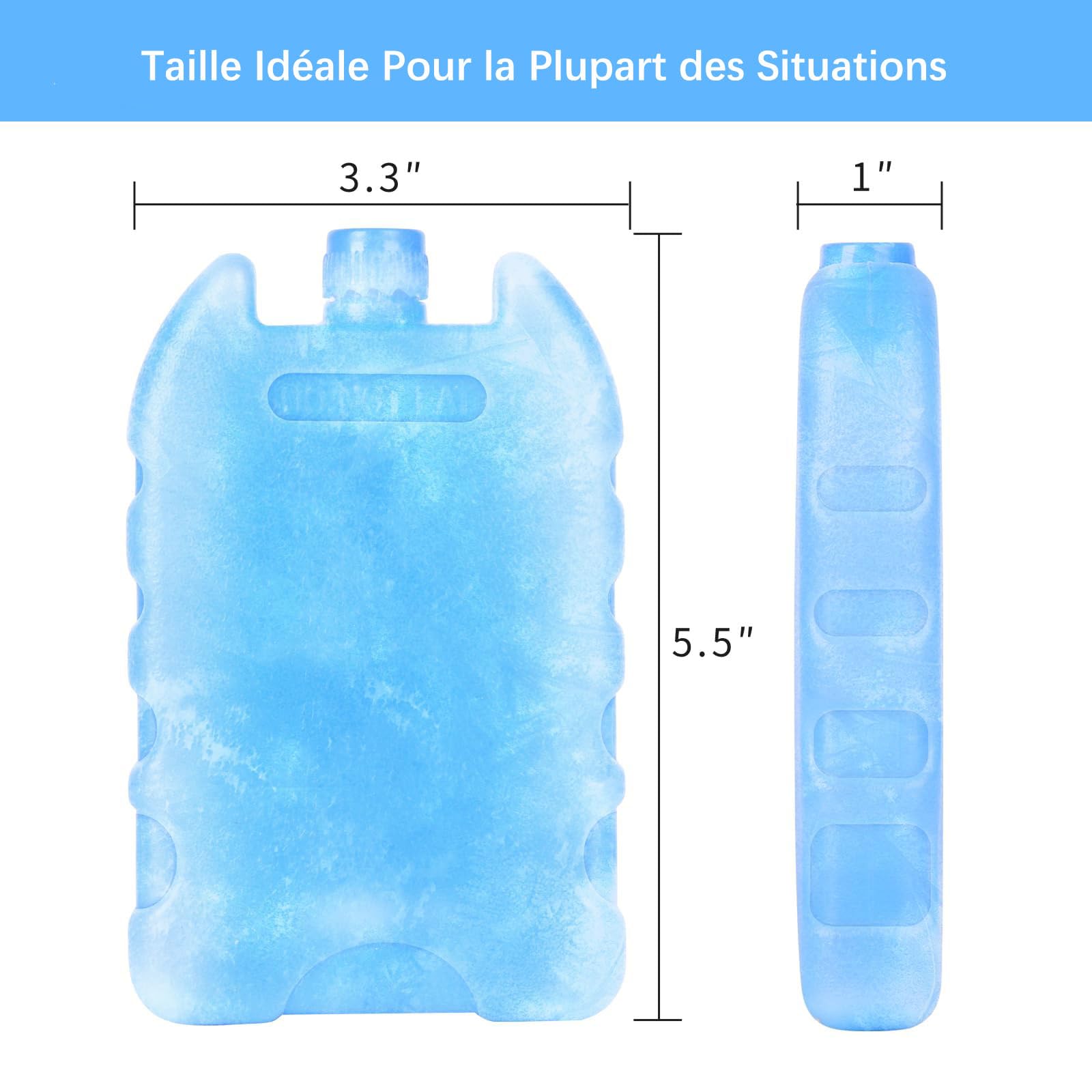 Glacière Portable Avec Pains De Glace Réutilisables – 6 Packs Froids Longue Durée Pour Pique-nique, Plage, Camping