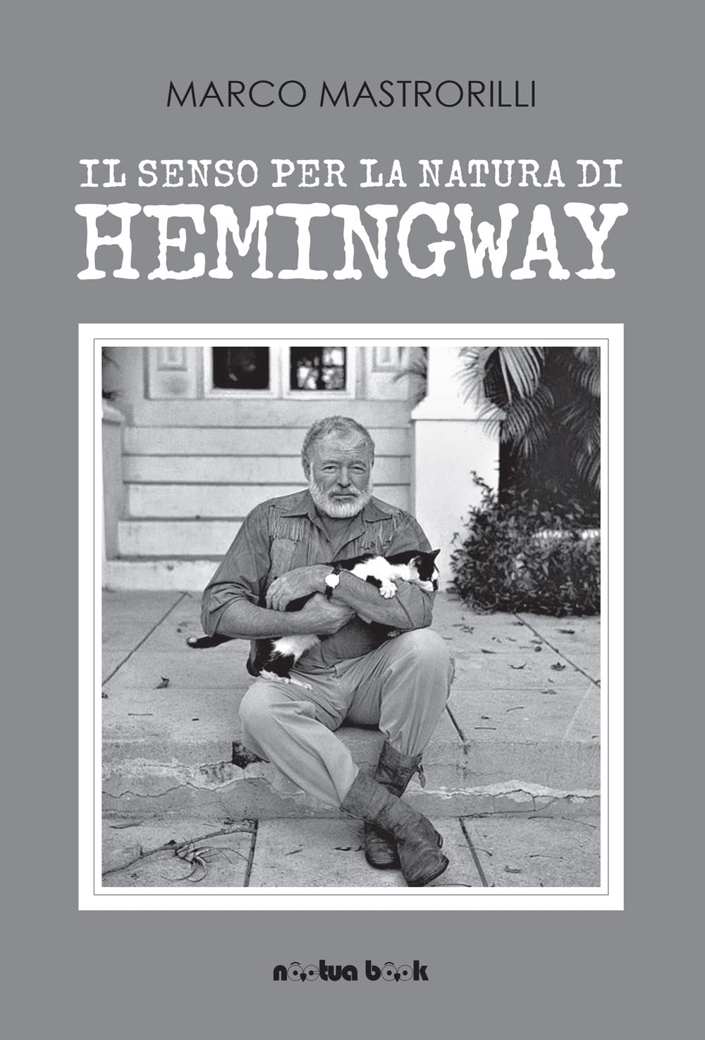 Il Senso Per La Natura Di Hemingway - 4