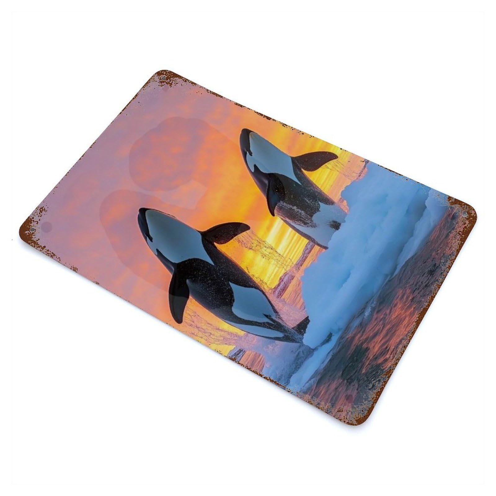 Orcas Jumping at Sunset in Icy Waters Rustic Tin Plaque 11.8"x7.9", Ideal for Shed, Workshop And Garage Wall Decor