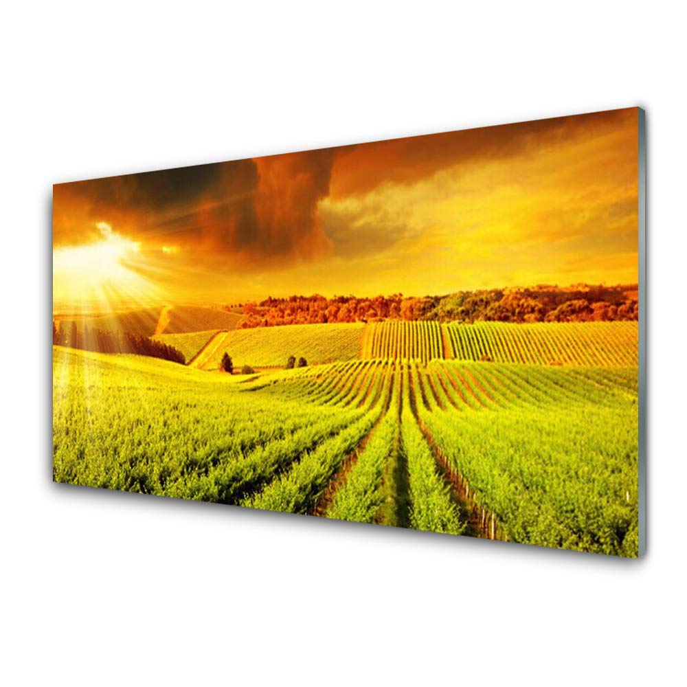 Impression sur Verre Trempé Tulup Tableau Mural Lumineux pour Murs Sombres