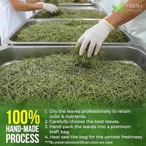 Image of FreshDrinkUS, Premium 8oz Pine Needle Leaves Herbal Tea - Dried Loose Leaf Pine Needles - Naturally Fresh & Aromatic Caffeine-Free Herbal Tea. Sugar-Free. Vegan