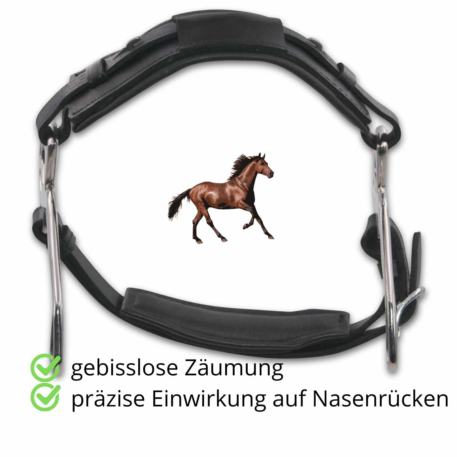 Reitsport Amesbichler AMKA Hackamore - Brida sin morder con almohadilla para la nariz, color negro
