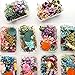 Produktbild Kaxceay Getrocknete Blumen-Paket gemischte ewige Blumen und Laub für DIY Aromatherapie-Kerzen Gruß-Karte Epoxy-Handwerk-Decor-künstliche 2-Box (Color : AS Shown)