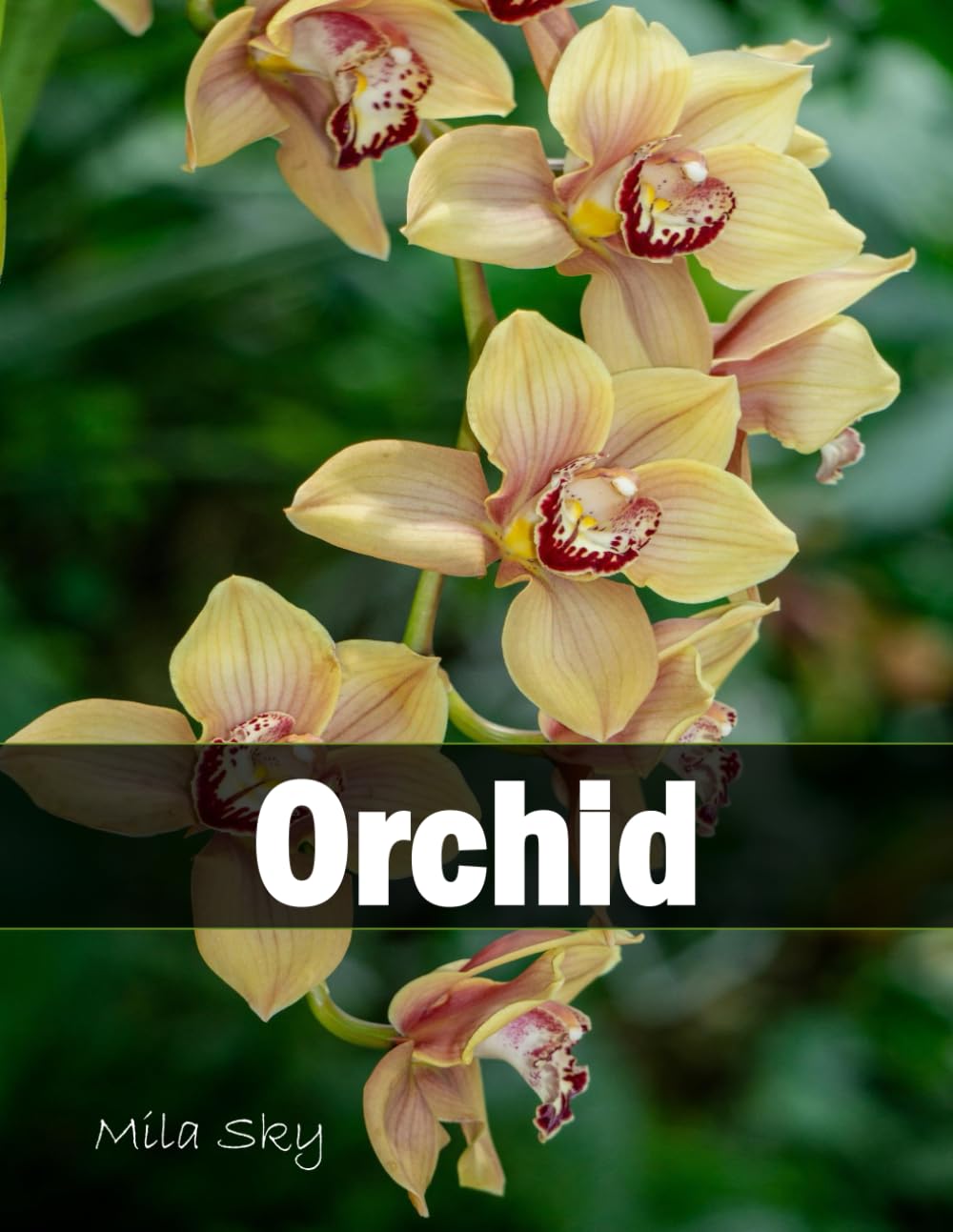 Orchid: A Stunning Coffee Table Collection of Flower Photography