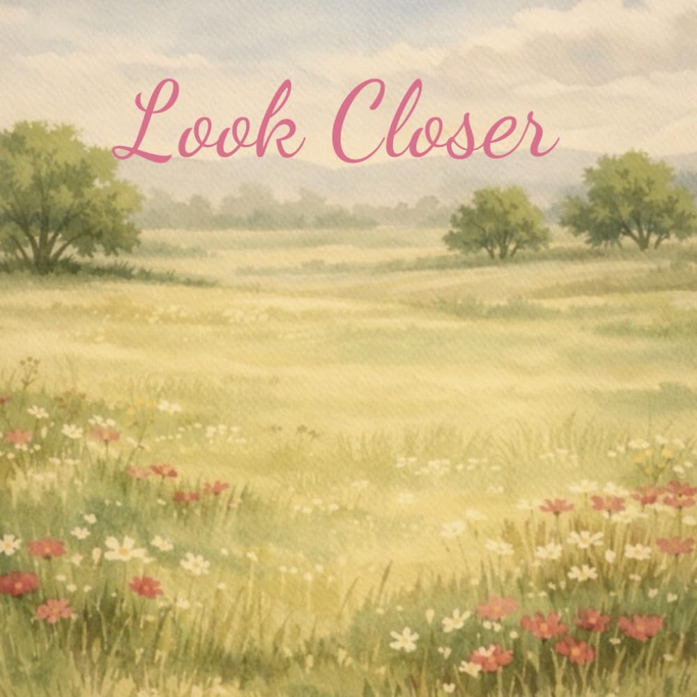 Look Closer