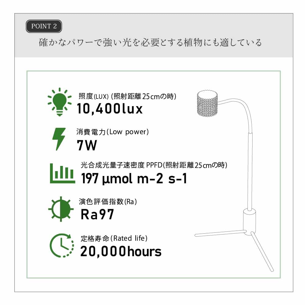 Amazon.co.jp: BARREL 正規代理店【YEW-7W】（ユー）ホワイト植物育成