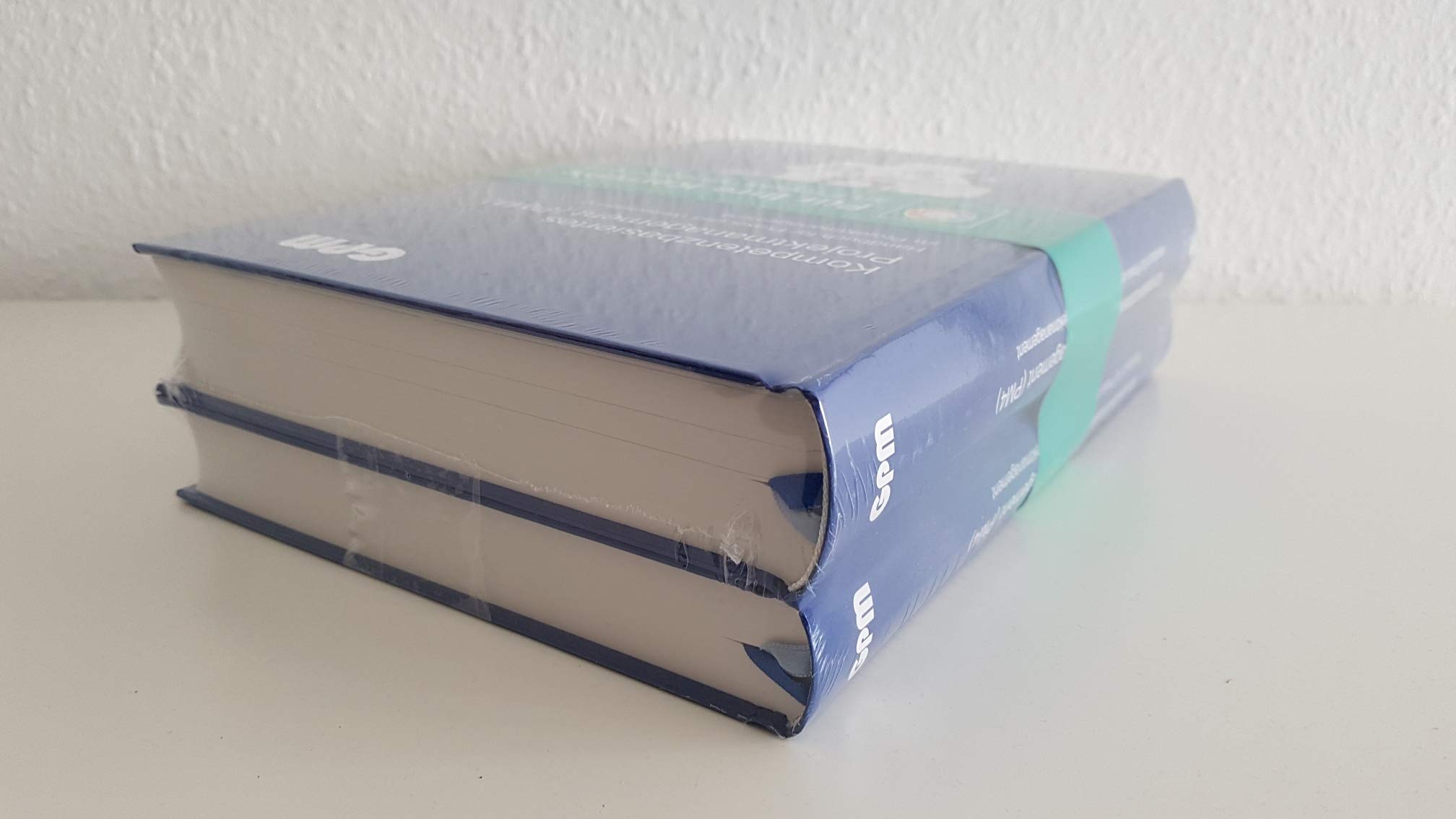 Kompetenzbasiertes Projektmanagement (PM4): Handbuch für Praxis und Weiterbildung im Projektmanagement