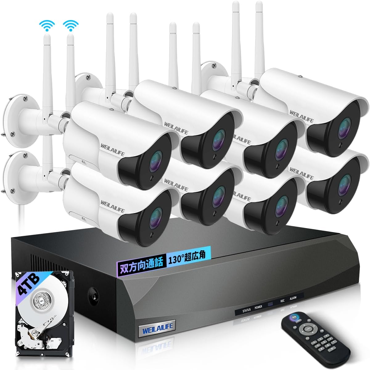 丸山式コイル ブラックアイ 6個入（一般医療機器） 丸山式コイル