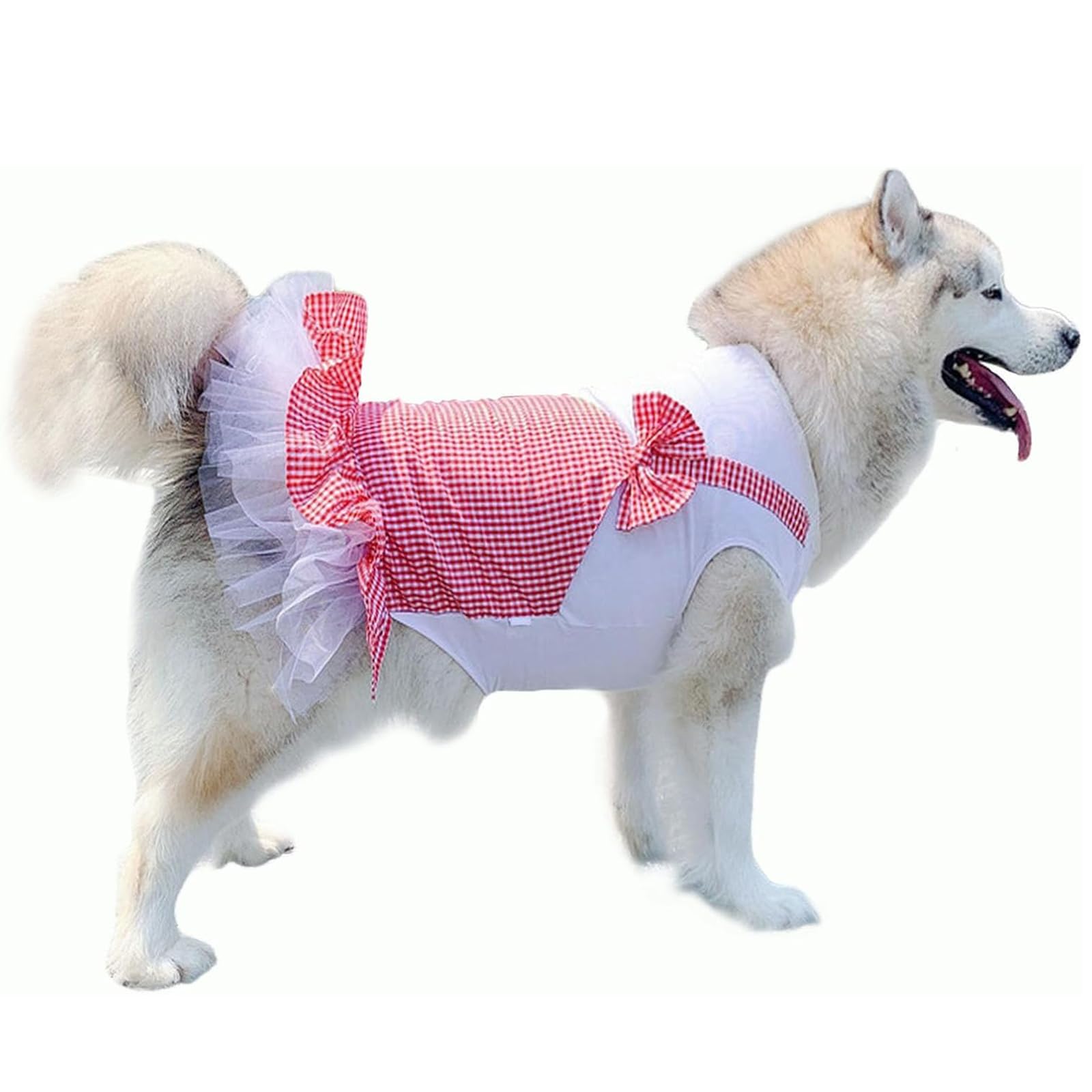 Costume anniversaire grand chien fille avec jupe tulle et robe de fête