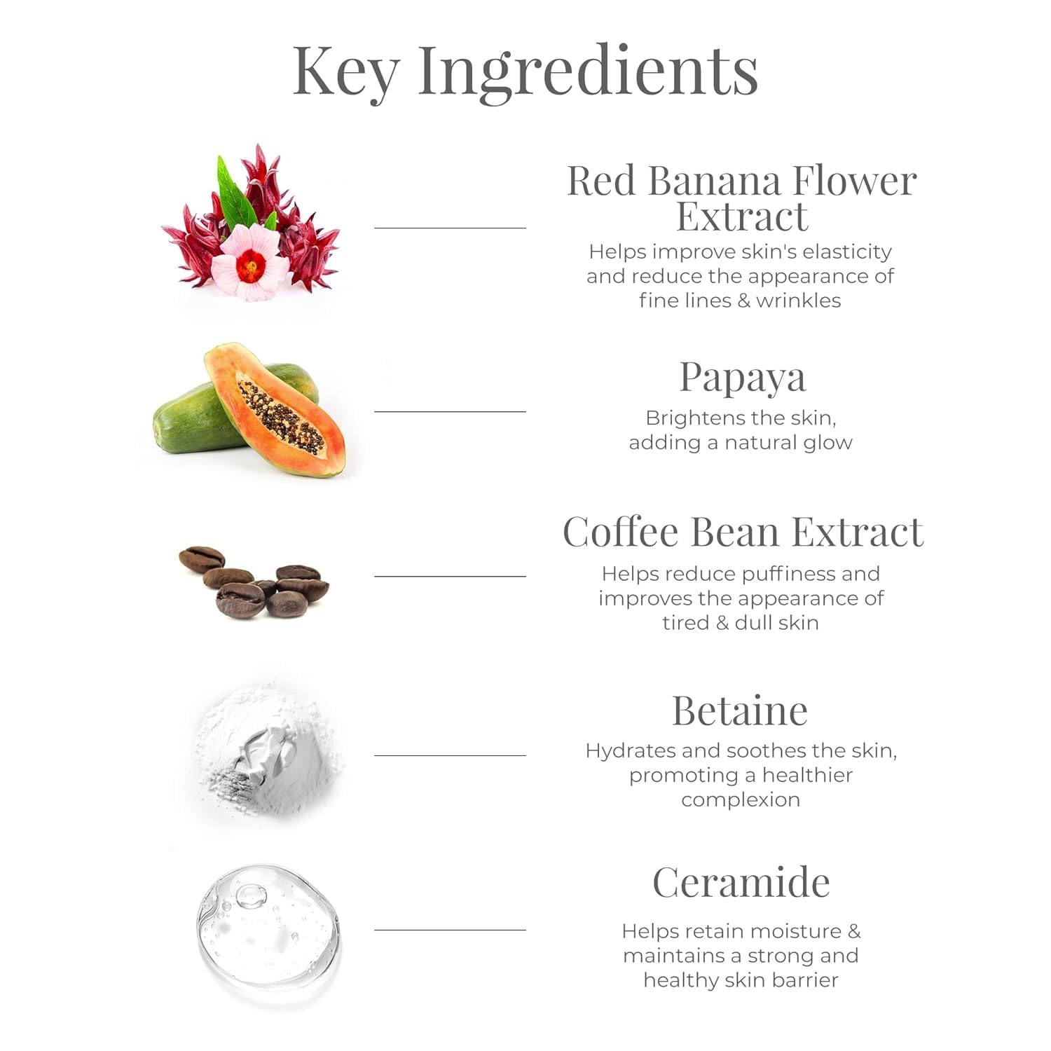 Forest Essentials Under Eye Serum Concentrate with Bakuchiol, Caffeine & Hyaluronic Acid & Aloe Vera | Under Eye Serum | Reduces Dark Circles, Fine Lines & Puffy Eyes | For All Skin Types