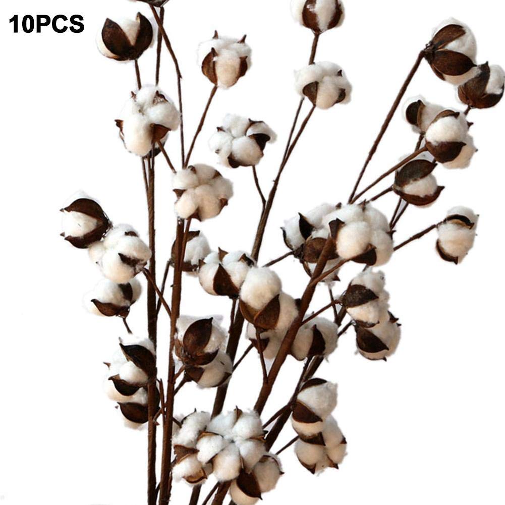 Amazon 10本 コットンフラワー 棉花 ドライフラワー 枯れない花 Diy装飾花 おしゃれ 結婚花束 玄関リース お店装飾 壁飾り 撮影道具 インテリア 飾り物 造花 オンライン通販