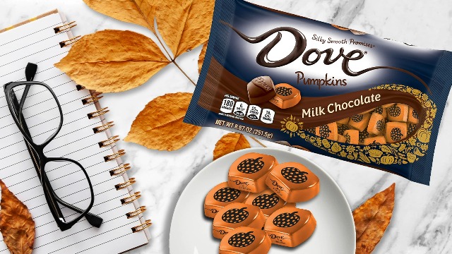 Amazon.com: DOVE PROMISES Milk Chocolate Pumpkins Autumn Fall