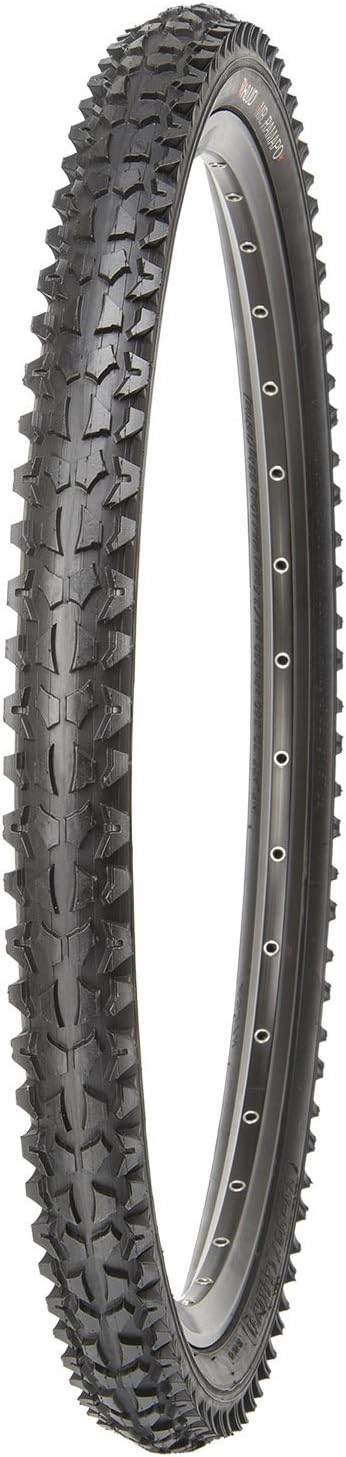 Mr. Ramapo MTB Wire Bead Tire
