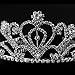 PIXNOR Wedding Prom Bridal Crown Rhinestone Crystal Decor Headband Veil Tiara (Sliver)