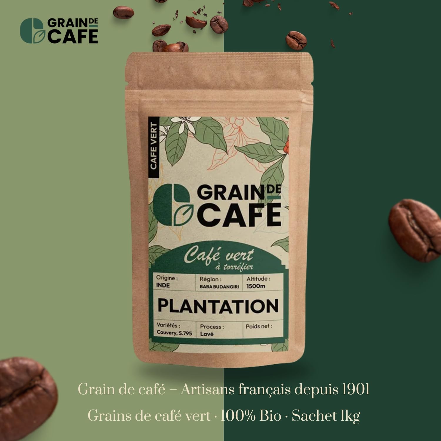 Graindecafé – Café Vert Inde Plantation 1kg | 100% Arabica Non Torréfié | Doux Et Épicé Des Ghâts Occidentaux | Notes De Miel Et Cannelle | Idéal Machine À Grain Une Fois Torréfié
