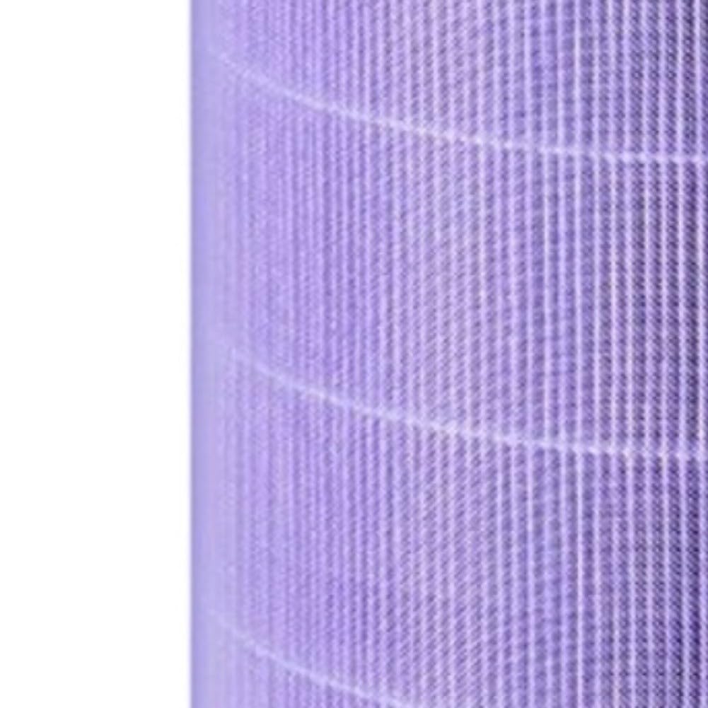 Filtro Activado para Eliminar Formaldehído y Filtro Activado(A)