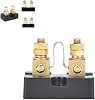 FL-15 DC Current Meter Shunt,5A 10A 15A 20A 30A 50A 75A 100A Analog Ammeter Shunt Resistor,Shunt FL-15 Standard 5A-100A Shunt for DC Shunt11