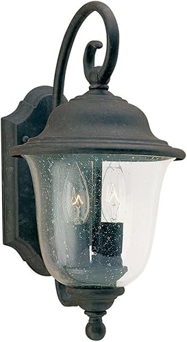 Sea Gull Lighting 8459-46 Trafalgar - Farol de pared para exteriores con pantalla de vidrio sembrado transparente, acabado de bronce oxidado