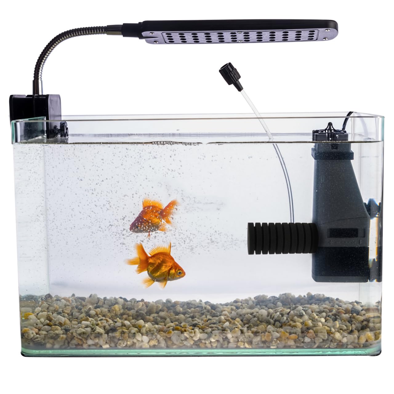 balacoo 6 piezas de repuesto de accesorios para acuario, suministros de espuma, colador de tanque de agua, esponja de sal, filtro negro, estanque de limpieza para filtros bioquímicos frescos acuáticos