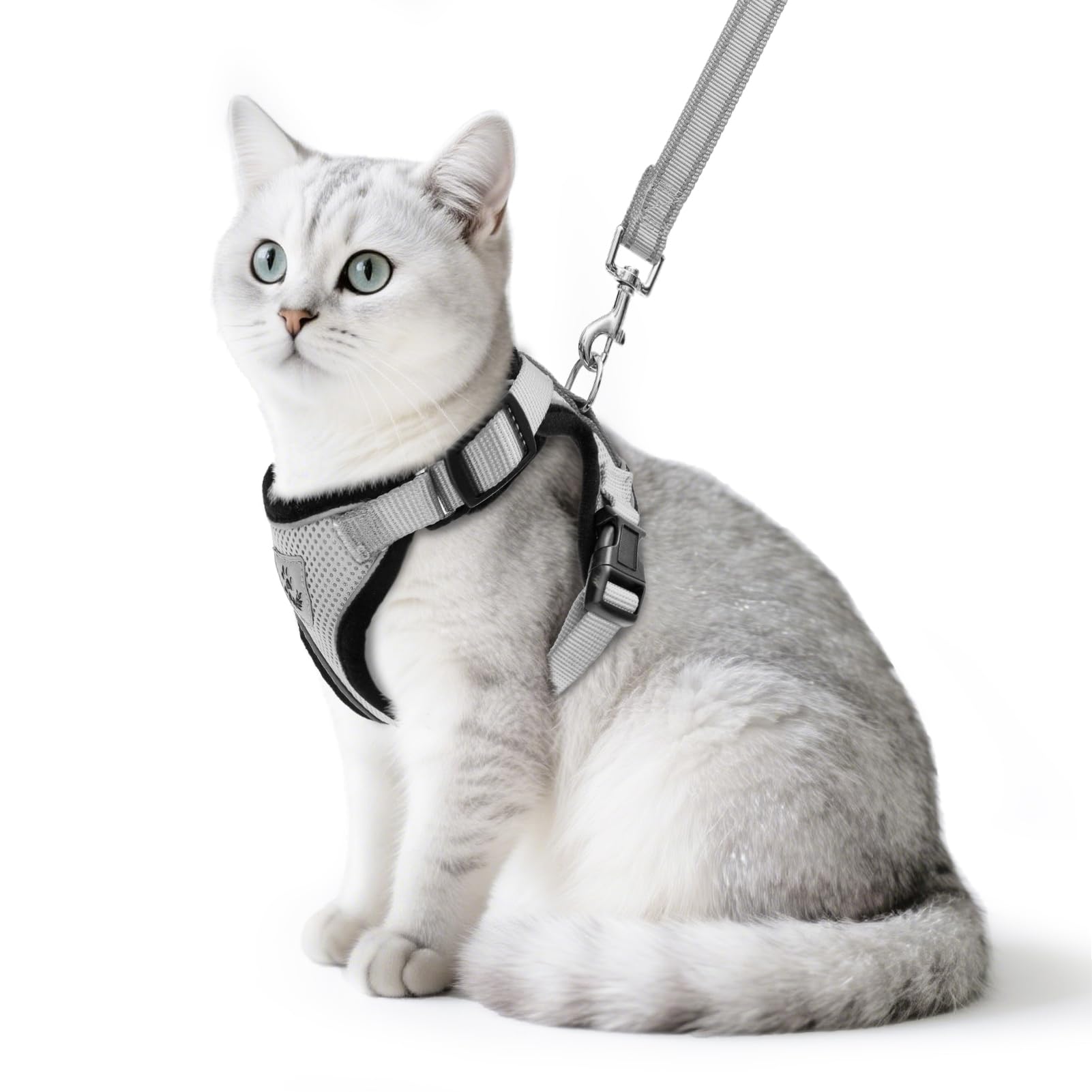 PUPTECK Cat Harness and Leash Set Escape Proof Reflective Cat Walking Harness Adjustable Soft Breathable Mesh Vest for Small Pets, Grey, M