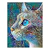 FineInno Diamond Painting Cat Kits, Diamond Painting Colorful Cat, DIY 5D Diamant Schilderij Kits op Nummer, Round Full…