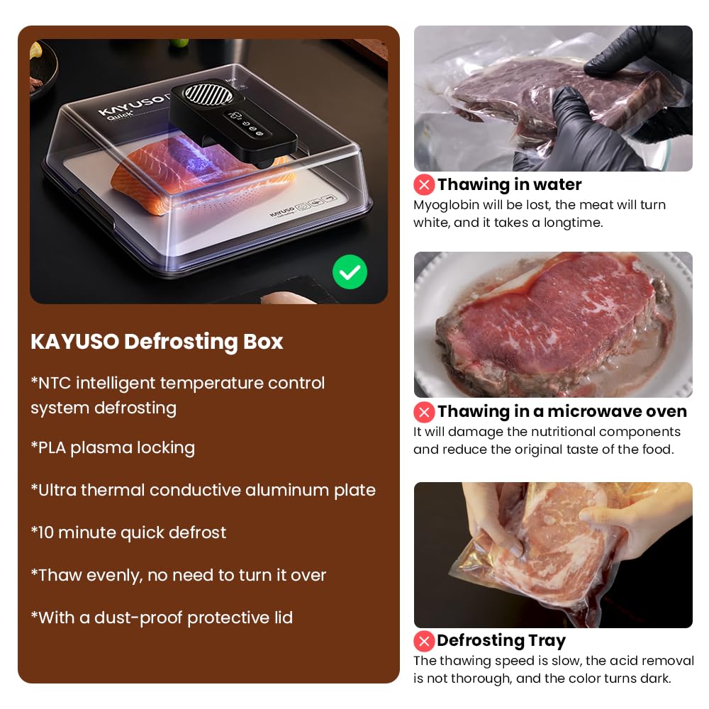 KAYUSO Quick Defrosting Tray for Frozen Meat - Rechargeable Meat Defrosting Tray with Lid, Timable Thawing Box for Frozen Food, Suitable for Frozen Steak, Chicken, Fish, Shrimp and Seafood (Black)