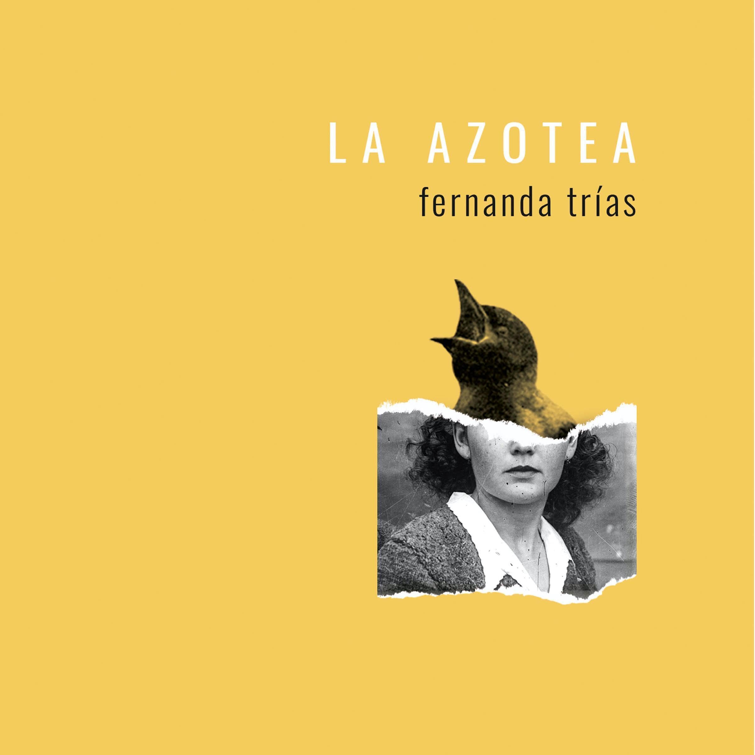 La azotea [The Rooftop]