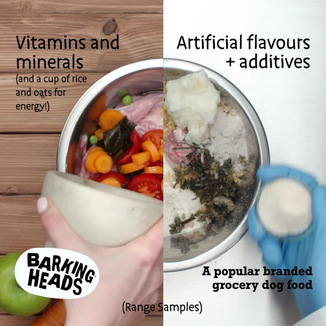 barking heads senior