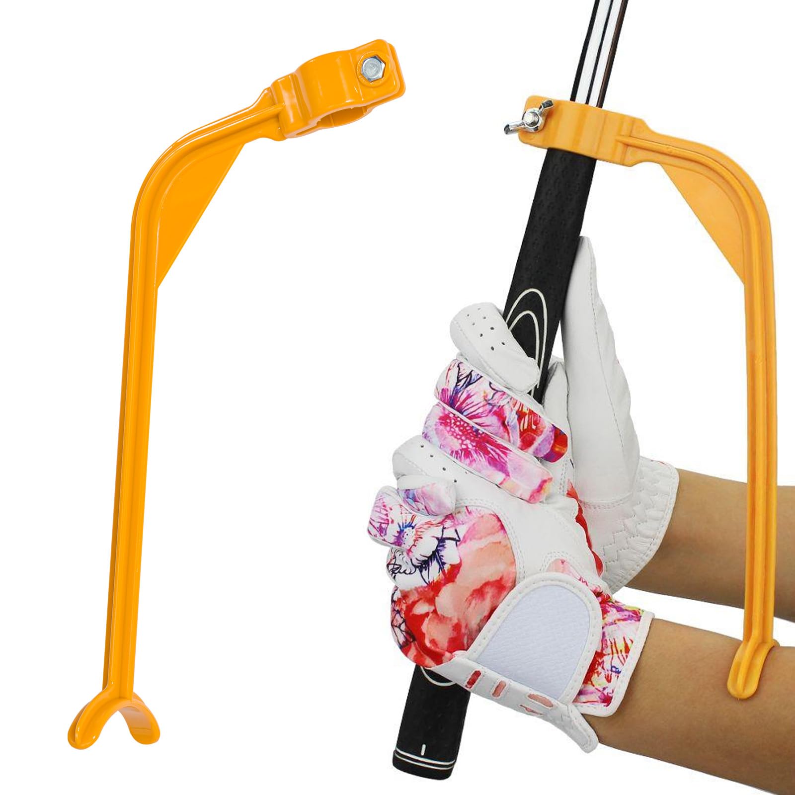 View 6