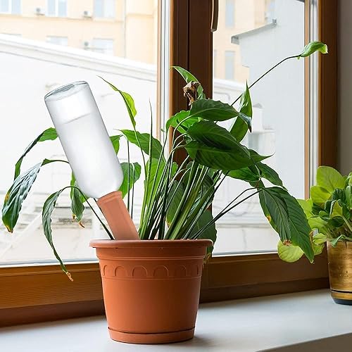 Miniatura 2 de Tcamp Paquete de 10 Picos de Riego de Terracota, Dispositivos de Riego de Plantas con Botella de Vino, Picos Automáticos de Autoriego para Plantas