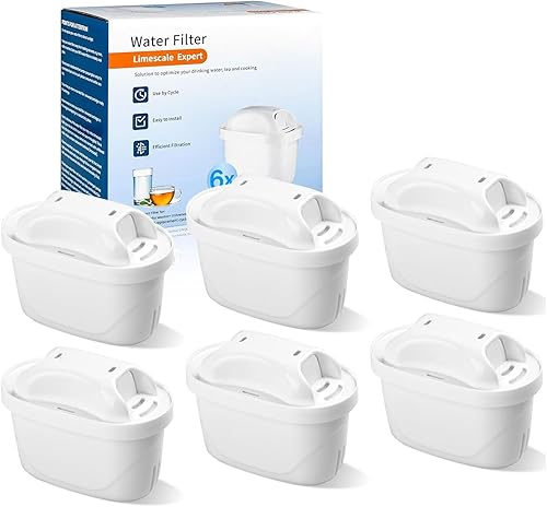 Generic 6-Pack Replacement Filters