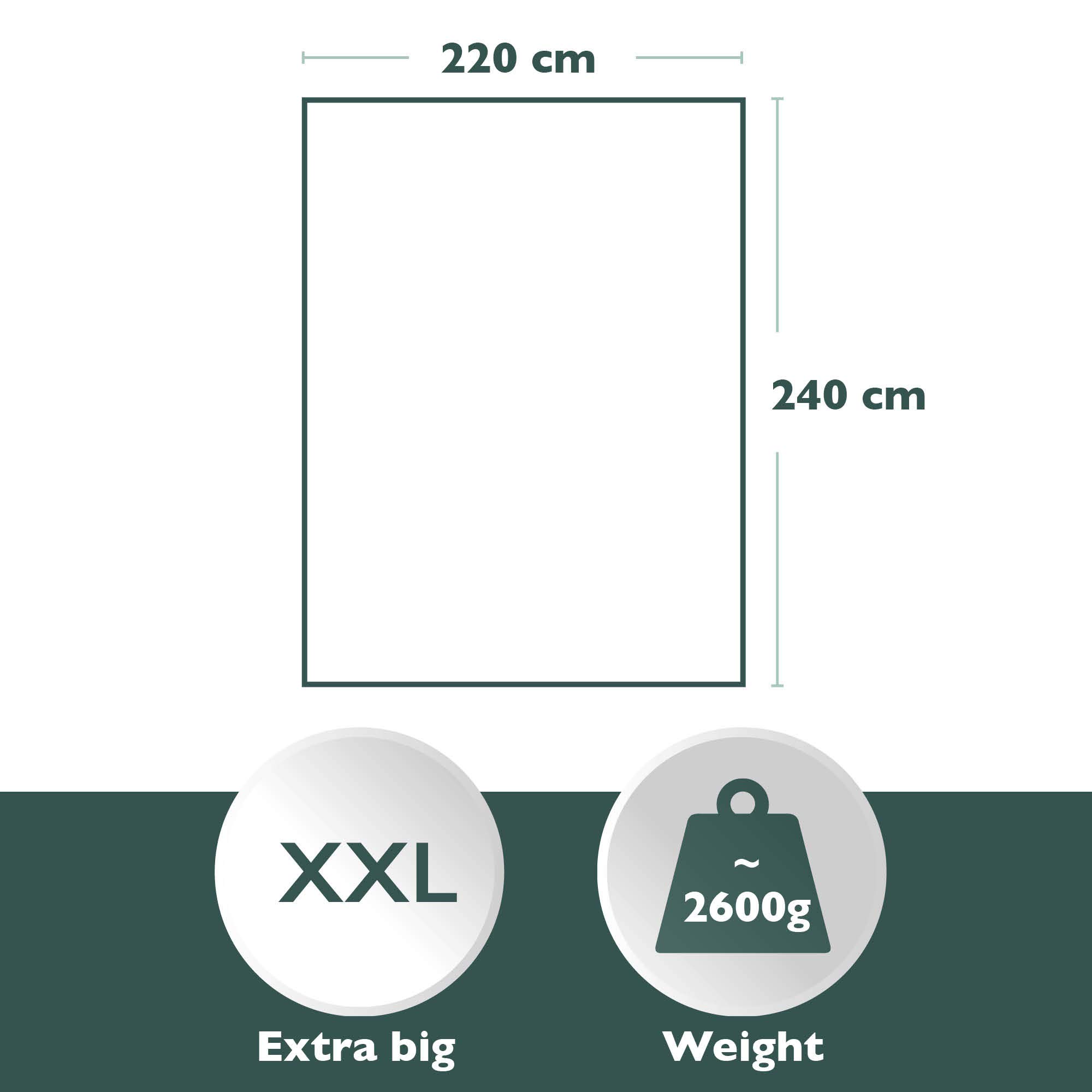 Beautissu XXL Plaid Canape Grande Dimensione Sherpa 220 x 240 cm Elisa – Morbido plaid antracite caldo per l'inverno, divano – Coperta in pile con effetto scintillante e finta pelle di agnello