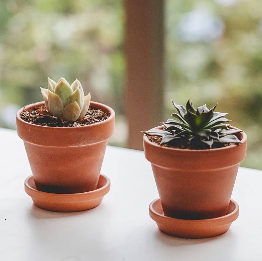 thha__ thha ザー植木鉢 鉢 3 thha__ thha ザー植木鉢 鉢 3 thha__ thha ザー植木鉢 鉢