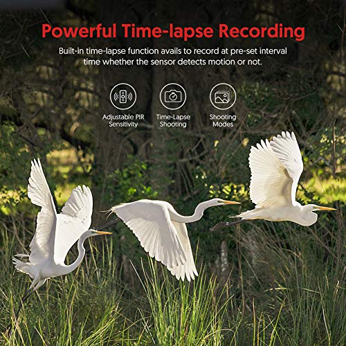 Victure Trail Game Camera 20MP with Night Vision Motion Activated Waterproof and 130° Detection Hunting Camera Trap 1080P IP66 for Outdoor Wildlife Monitoring - Thumbnail 7