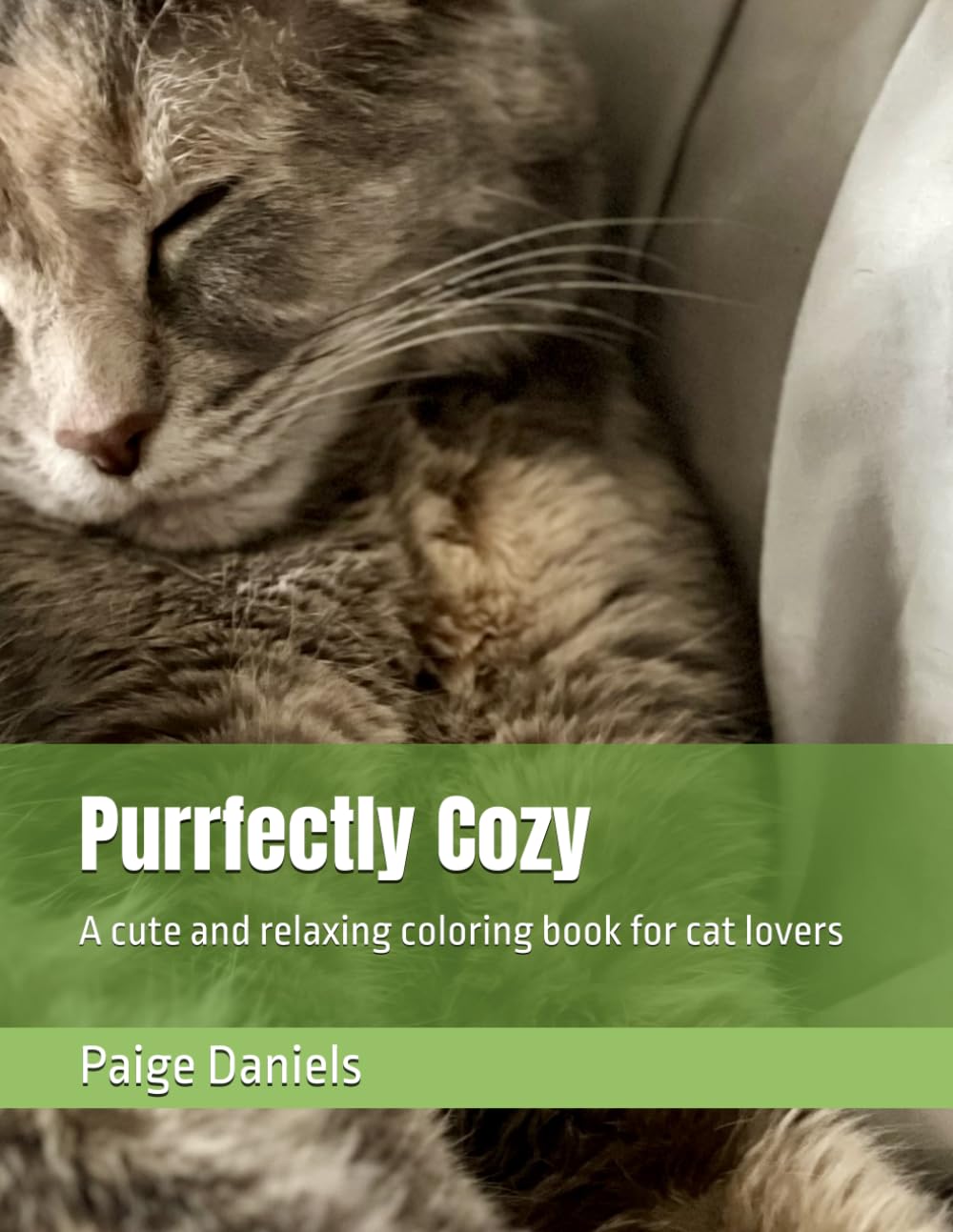 Purrfectly Cozy: A cute and relaxing coloring book for cat lovers