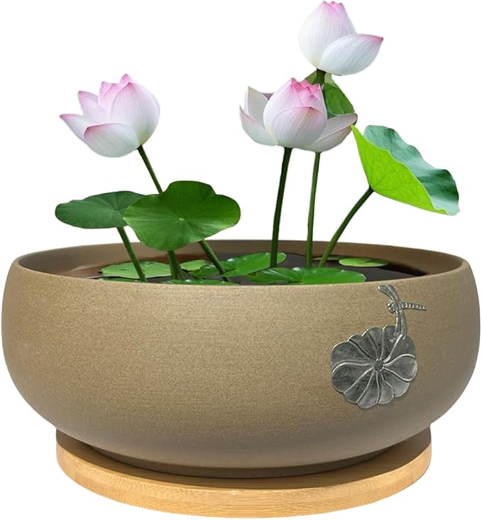 MUZHI Round Ceramic Hydroponic Bowl Lotus Planter Pot with Bamboo