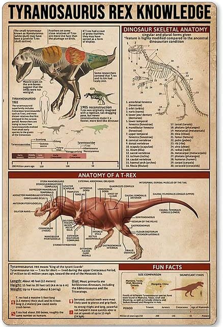 Plaque en étain vintage grise Tyranosaurus Rex Knowledge Animal Poster Plaque Ferme Maison Pet Shop Décoration murale 20,3 x 30,5 cm