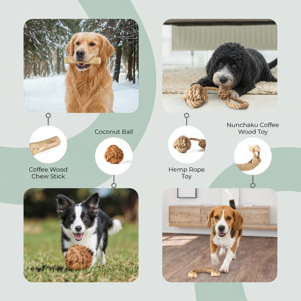 Alfred & Beebee Kau- und Zahnspielzeug für Hunde, natürliches Kaffeeholz, 4 Stück, L-XL | Kaffeeholz Kau- & Spielzeug 4er Pack 100 % natürlich, ungiftig und umweltfreundlich, für große und XL-Hunde bis 34 kg