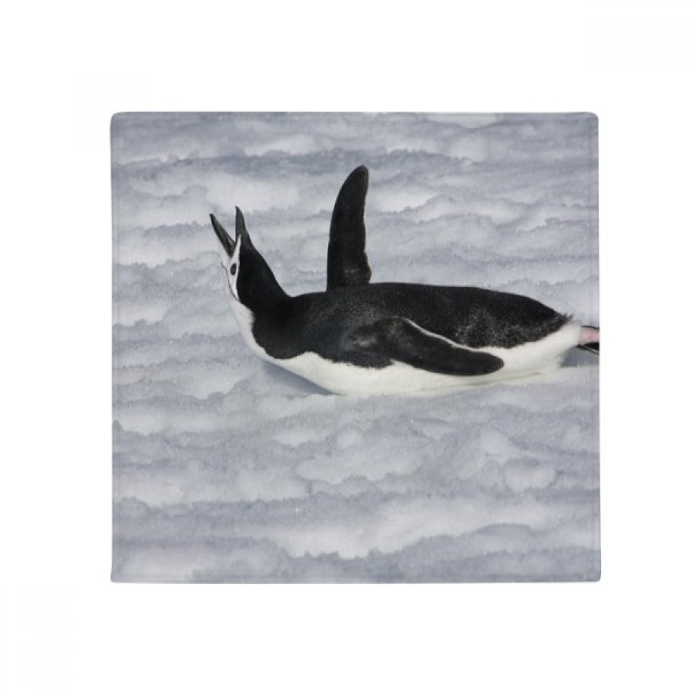 Tapis pingouin antarctique pour une cuisine et un salon chaleureux et sécurisés