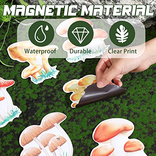 Set 12 Imanes Decorativos de Hongo para Refrigerador miniatura 5